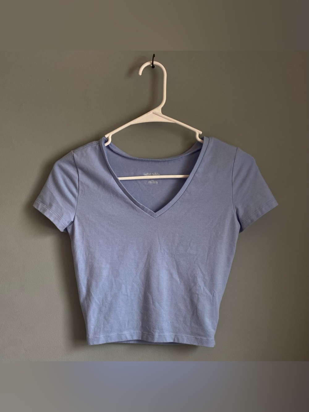 Wild Fable Cropped Tee